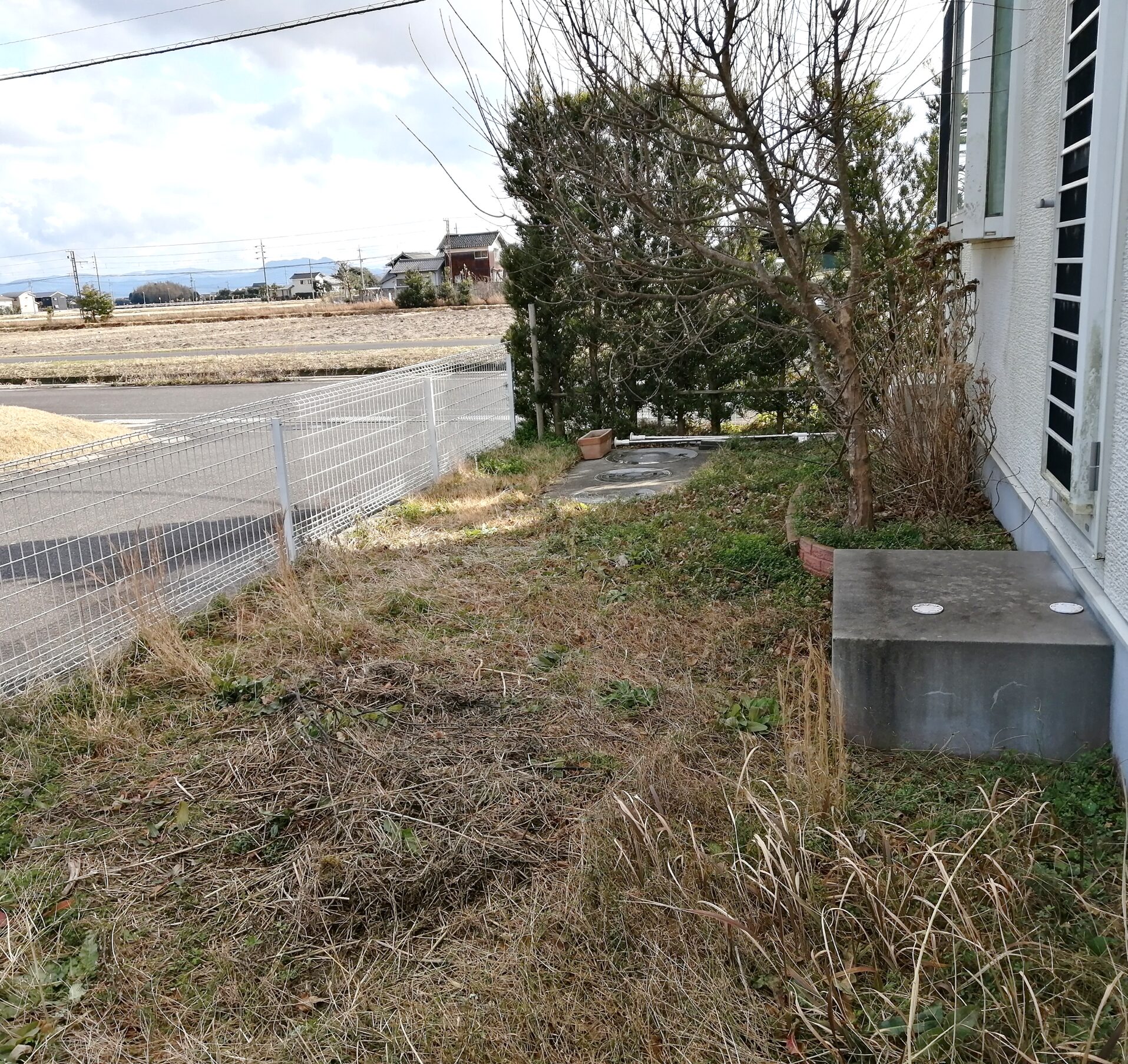 浜田市 外構リフォーム 雑草が茂った庭の施工前の様子