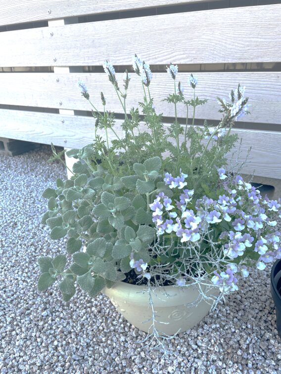 浜田市 外構デザイン 鉢植えの植栽で彩る玄関まわり